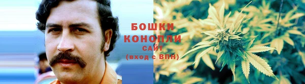 хмурый Балабаново