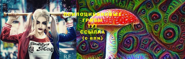 бошки Балахна