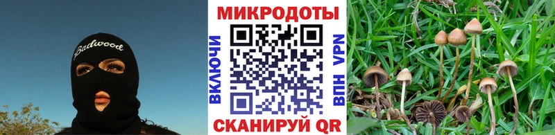хочу   Ленск  Псилоцибиновые грибы ЛСД 